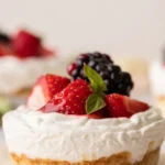 delicious no bake mini cheesecake bites youll lov 2025 07 27 184641 150x150 2 - 7 Irresistible No Bake Mini Cheesecake Bites You’ll Crave